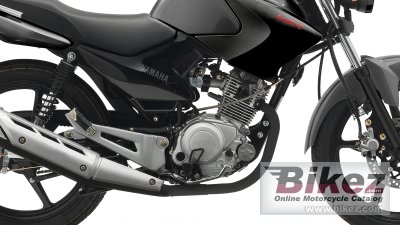 2013 Yamaha YBR125