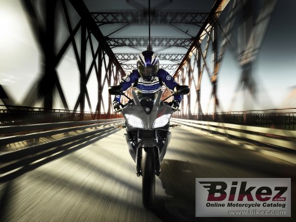 2013 Yamaha YZF-R125