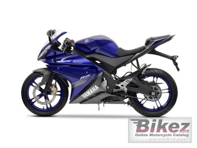 2013 Yamaha YZF-R125