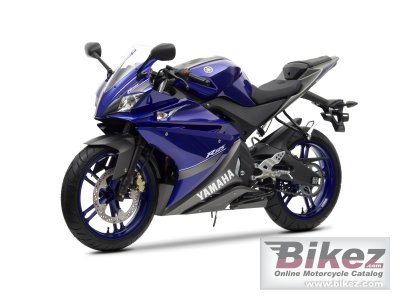 2013 Yamaha YZF-R125