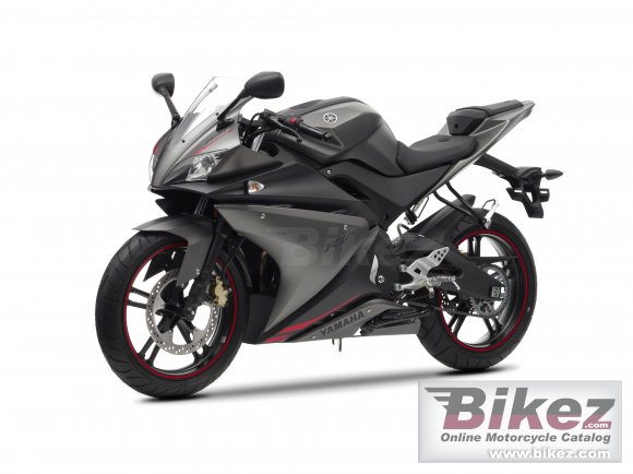 2013 Yamaha YZF-R125