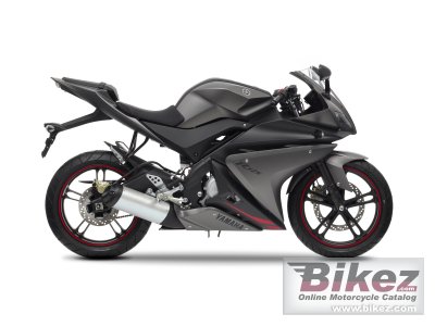 2013 Yamaha YZF-R125