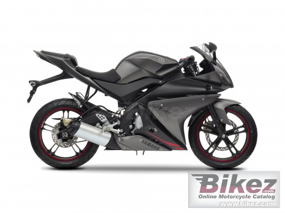 2013 Yamaha YZF-R125