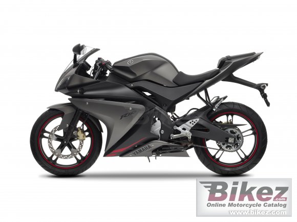 2013 Yamaha YZF-R125