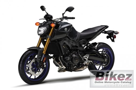 2014 Yamaha FZ-09