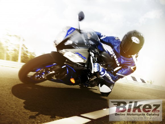 2014 Yamaha YZF-R6