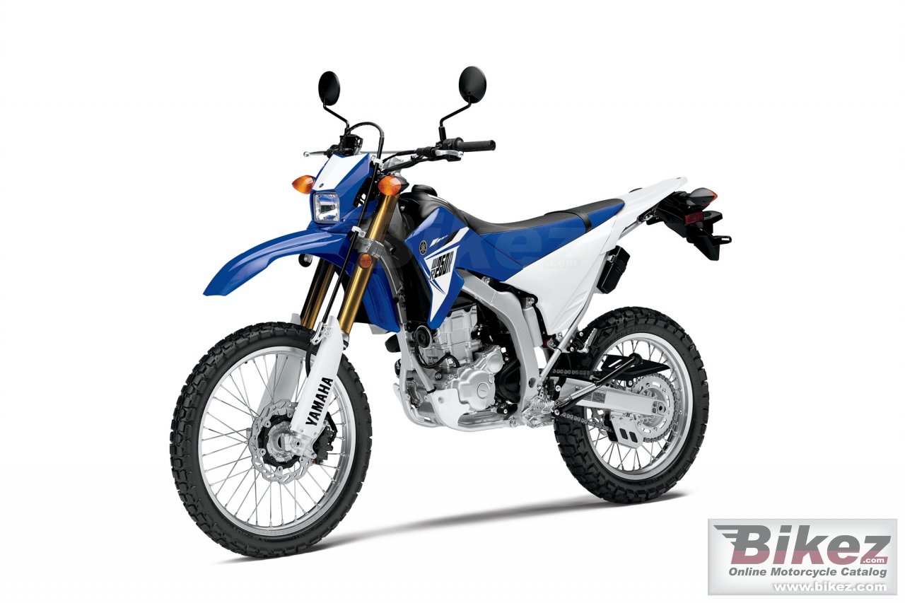 Yamaha WR250R