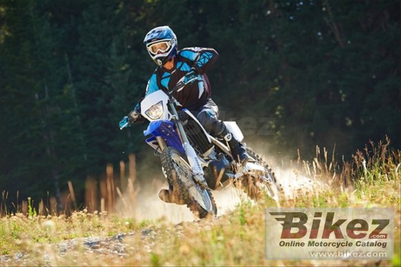 2014 Yamaha WR450F