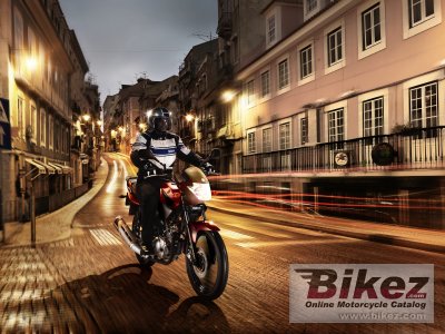 2014 Yamaha YBR125