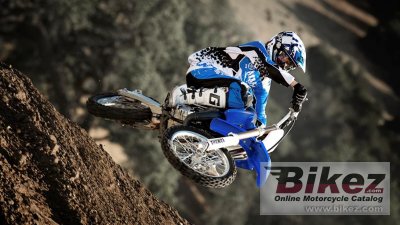 2014 Yamaha YZ85LW