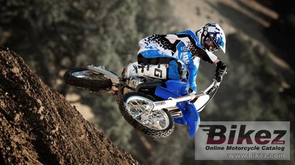 2014 Yamaha YZ85LW