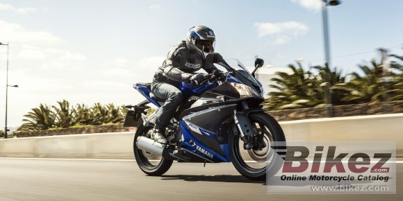 2014 Yamaha YZF-R125