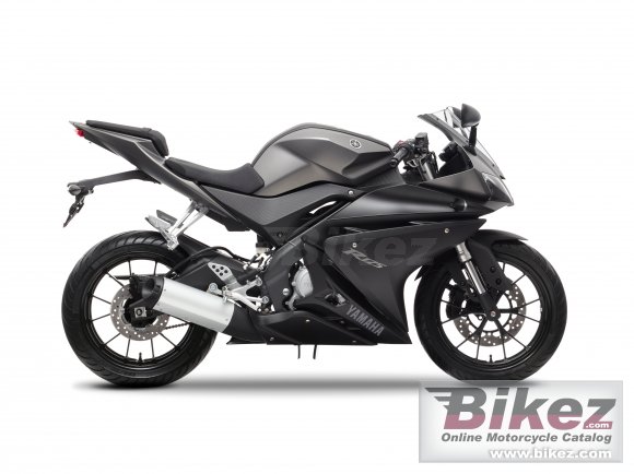 2014 Yamaha YZF-R125