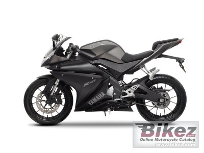 2014 Yamaha YZF-R125