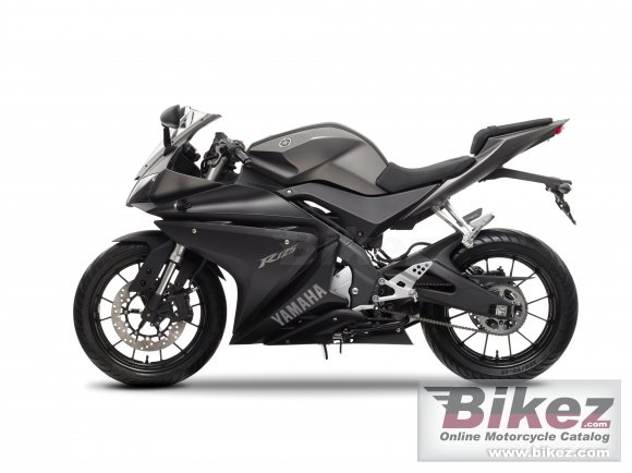 2014 Yamaha YZF-R125