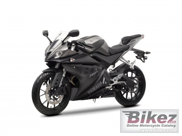 2014 Yamaha YZF-R125