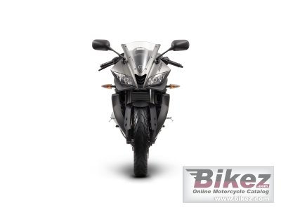 2014 Yamaha YZF-R125