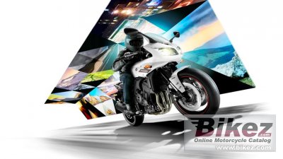 2014 Yamaha FZ1 Fazer ABS