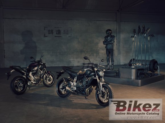 2014 Yamaha MT-07