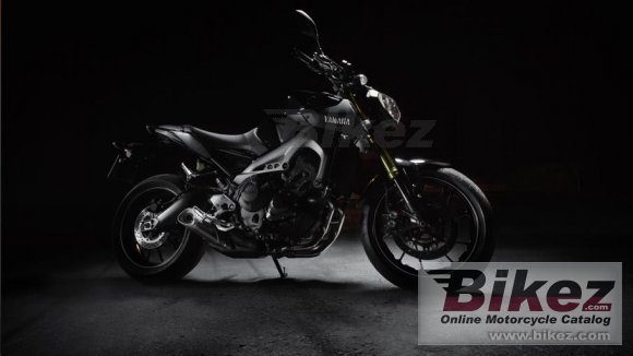 2014 Yamaha MT-09