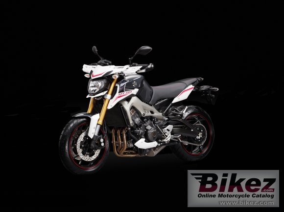 2014 Yamaha MT-09 Street Rally