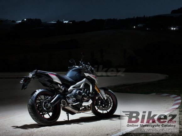 2014 Yamaha MT-09 Street Rally