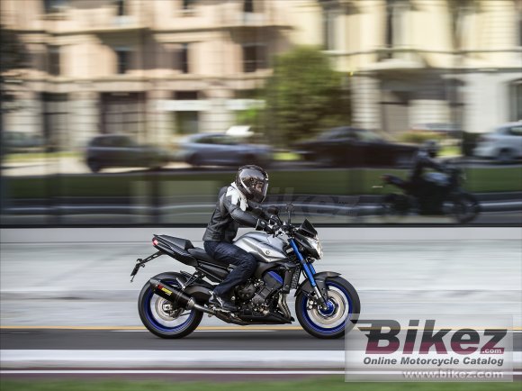 2015 Yamaha FZ8