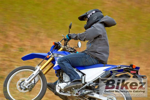 2015 Yamaha WR250R