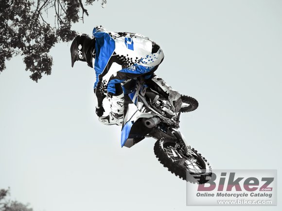 2015 Yamaha YZ250F