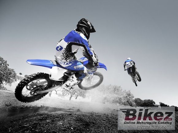 2015 Yamaha YZ250F