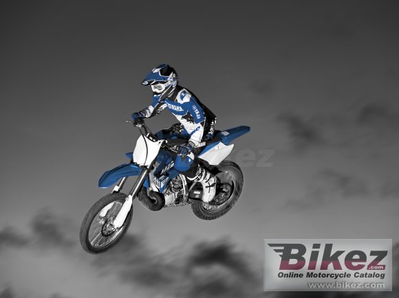 2015 Yamaha YZ250