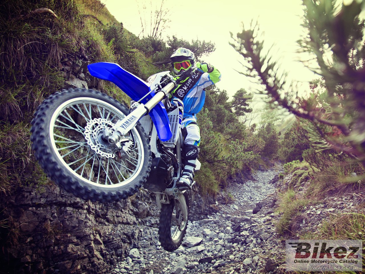 Yamaha WR250F