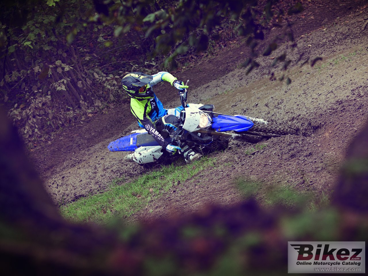 Yamaha WR250F