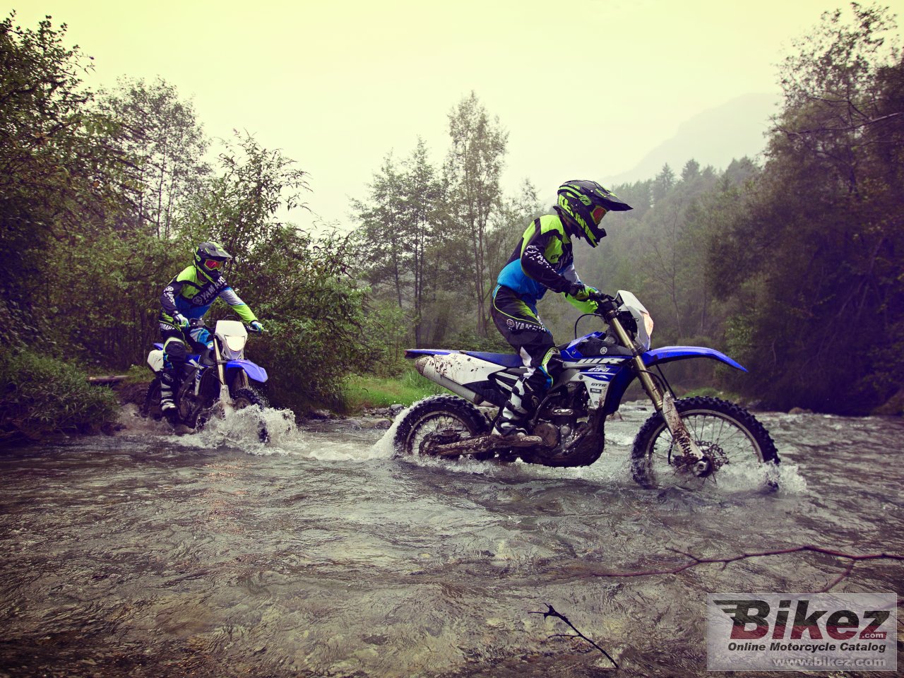 Yamaha WR250F