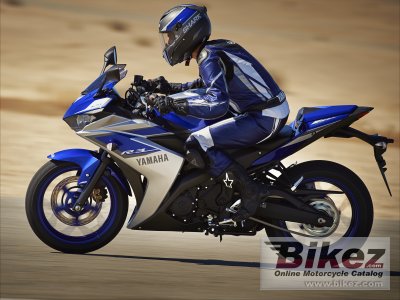 2015 Yamaha YZF-R3