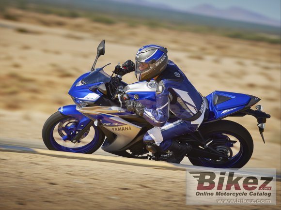 2015 Yamaha YZF-R3