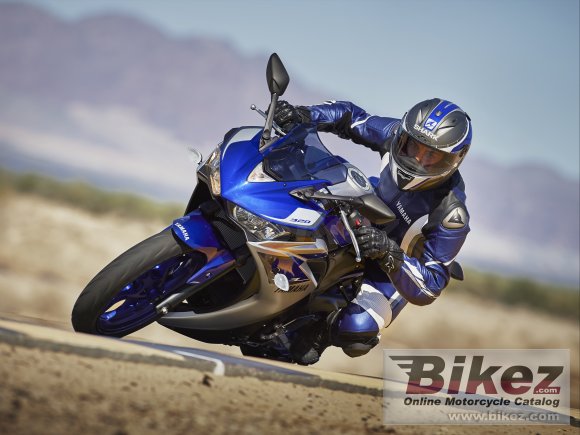 2015 Yamaha YZF-R3