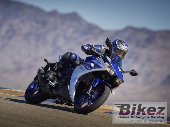 2015 Yamaha YZF-R3