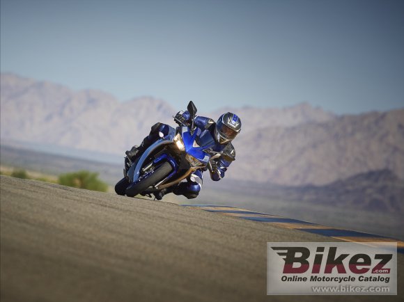 2015 Yamaha YZF-R3