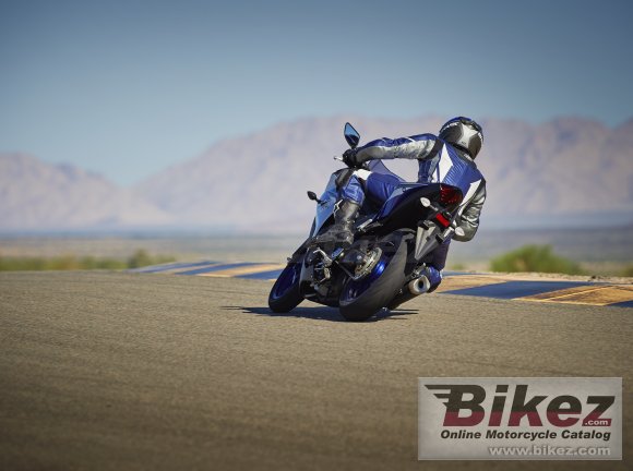 2015 Yamaha YZF-R3