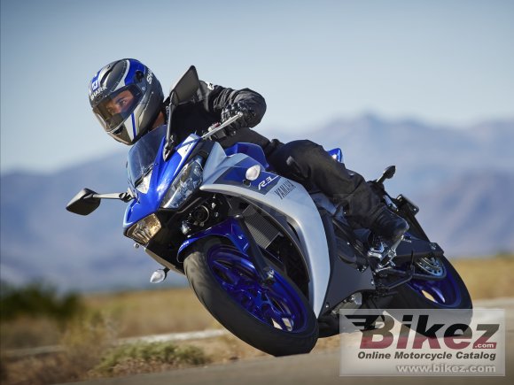 2015 Yamaha YZF-R3