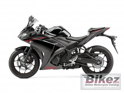 2015 Yamaha YZF-R3