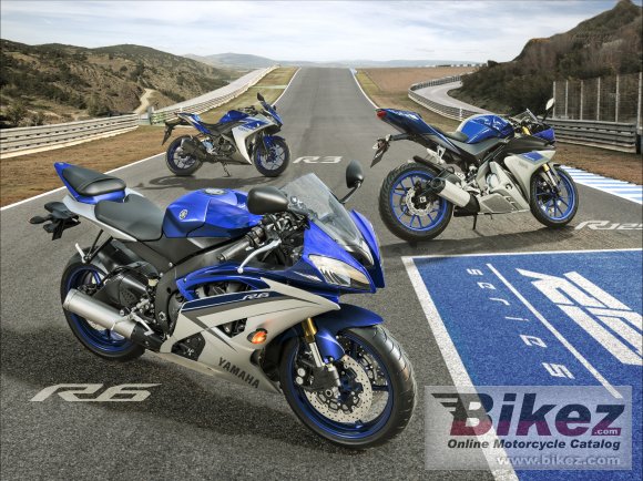 2015 Yamaha YZF-R3