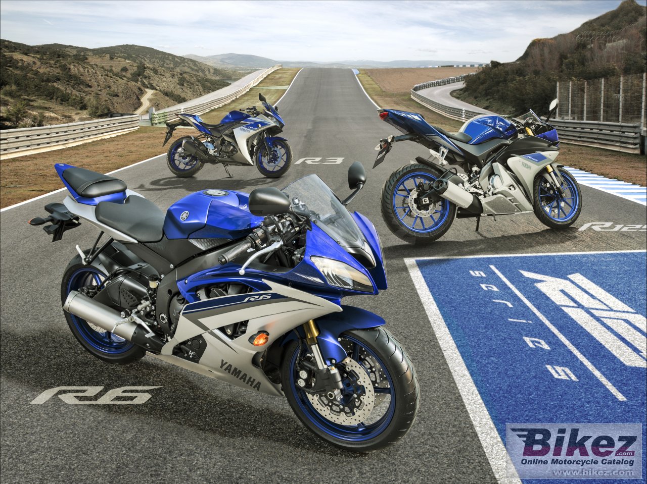 Yamaha YZF-R125 ABS