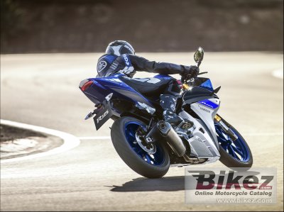 2015 Yamaha YZF-R125 ABS