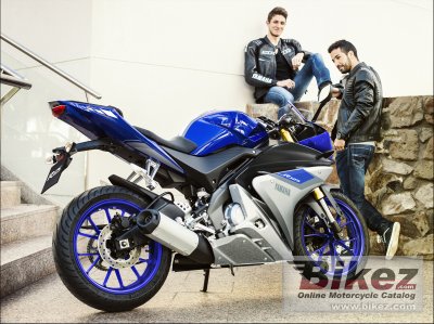 2015 Yamaha YZF-R125 ABS