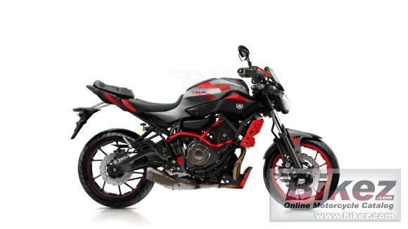 2015 Yamaha MT-07 Moto Cage ABS