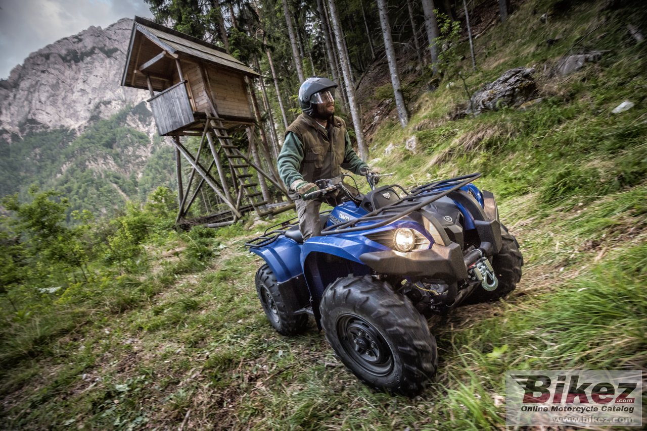 Yamaha Grizzly 450 EPS