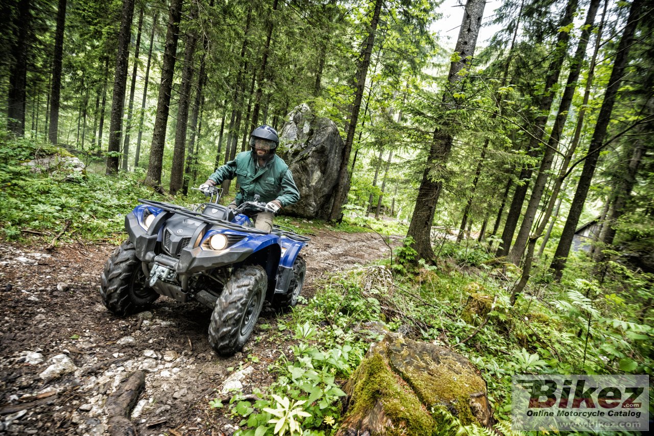 Yamaha Grizzly 450 EPS