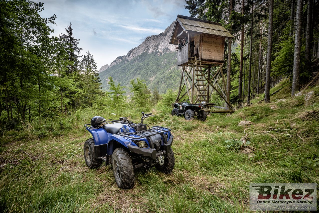 Yamaha Grizzly 450 EPS